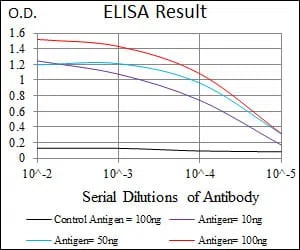 PLK1 Mouse Monoclonal Antibody - Size: 100µl