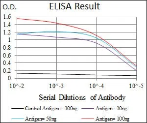 PAX5 Mouse Monoclonal Antibody - Size: 100µl