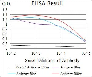 CD5 Mouse Monoclonal Antibody - Size: 50µl
