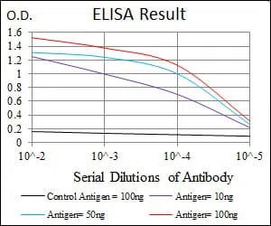 ANXA1 Mouse Monoclonal Antibody - Size: 100µl