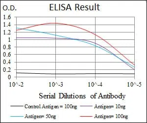 RUNX3 Mouse Monoclonal Antibody - Size: 100µl
