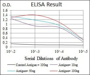 NEFM Mouse Monoclonal Antibody - Size: 50µl
