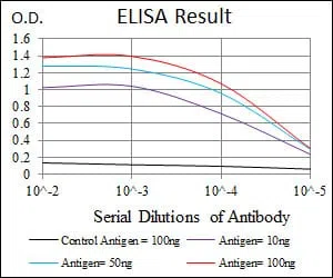 FZD5 Mouse Monoclonal Antibody - Size: 100µl