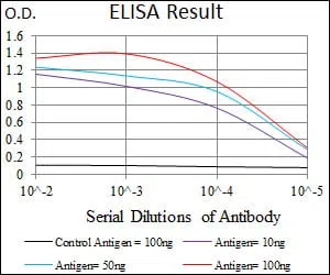 HAS2 Mouse Monoclonal Antibody - Size: 100µl