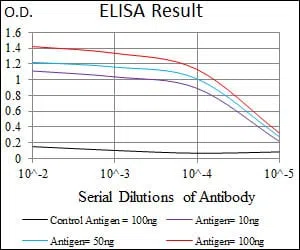 T Mouse Monoclonal Antibody - Size: 100µl