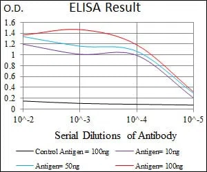 ABCB5 Mouse Monoclonal Antibody - Size: 100µl