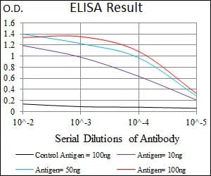 MMP2 Mouse Monoclonal Antibody - Size: 50µl