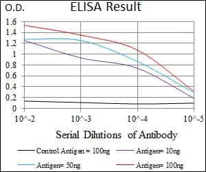 P2RY13 Mouse Monoclonal Antibody - Size: 100µl
