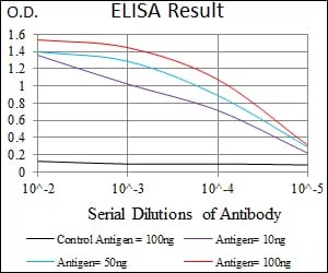 WDR66 Mouse Monoclonal Antibody - Size: 50µl
