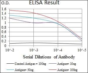 TUBB2A Mouse Monoclonal Antibody - Size: 100µl
