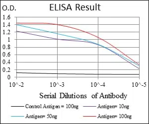 PHC1 Mouse Monoclonal Antibody - Size: 100µl