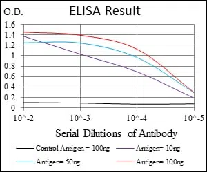 Ring1 Mouse Monoclonal Antibody - Size: 100µl