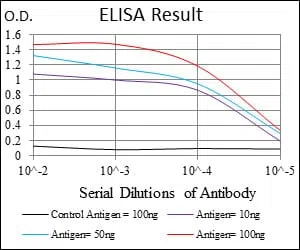 MCAM Mouse Monoclonal Antibody - Size: 100µl