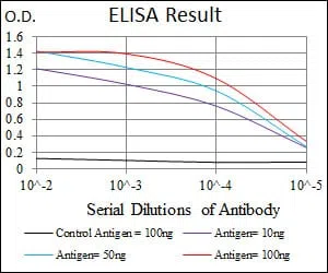 ALCAM Mouse Monoclonal Antibody - Size: 100µl
