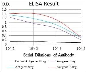 DNM1L Mouse Monoclonal Antibody - Size: 50µl