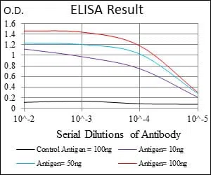 CD74 Mouse Monoclonal Antibody - Size: 50µl
