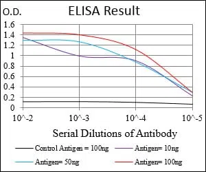 SYCP3 Mouse Monoclonal Antibody - Size: 50µl