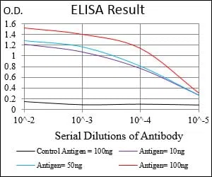 MCAM Mouse Monoclonal Antibody - Size: 100µl