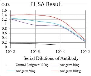 MEF2A Mouse Monoclonal Antibody - Size: 100µl