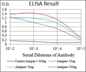 PRKAG1 Mouse Monoclonal Antibody - Size: 100µl