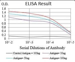 TERF2 Mouse Monoclonal Antibody - Size: 50µl