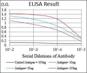 NBN Mouse Monoclonal Antibody - Size: 100µl