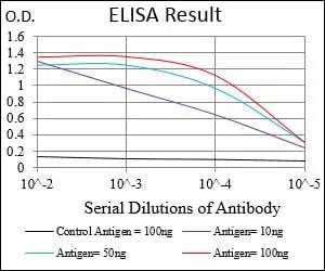 BDNF Mouse Monoclonal Antibody - Size: 50µl