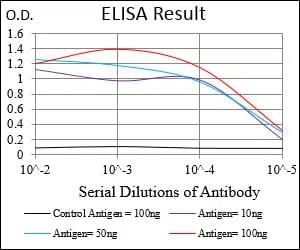 NT5E Mouse Monoclonal Antibody - Size: 100µl