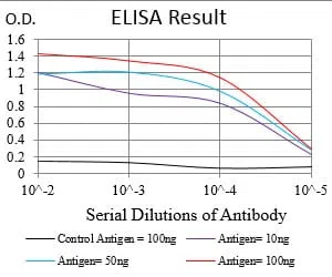 NBN Mouse Monoclonal Antibody - Size: 100µl