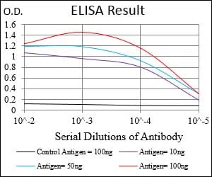 TIE1 Mouse Monoclonal Antibody - Size: 50µl