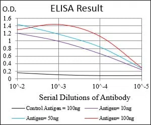 MSTN Mouse Monoclonal Antibody - Size: 50µl
