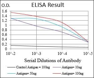 CNN1 Mouse Monoclonal Antibody - Size: 100µl