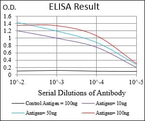 MMEL1 Mouse Monoclonal Antibody - Size: 100µl
