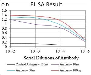 CD36 Mouse Monoclonal Antibody - Size: 100µl
