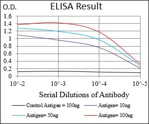 RHOF Mouse Monoclonal Antibody - Size: 50µl