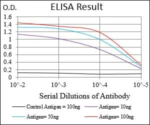 XRCC6 Mouse Monoclonal Antibody - Size: 100µl