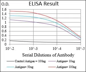 RPS6KA2 Mouse Monoclonal Antibody - Size: 100µl