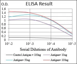 RBL2 Mouse Monoclonal Antibody - Size: 100µl