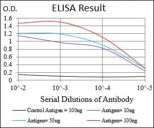 EIF5A Mouse Monoclonal Antibody - Size: 100µl