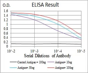 EIF5A Mouse Monoclonal Antibody - Size: 100µl