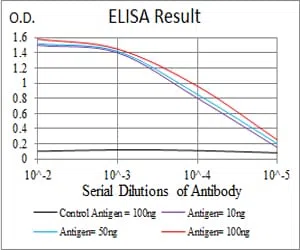 MDM2 Mouse Monoclonal Antibody - Size: 100µl