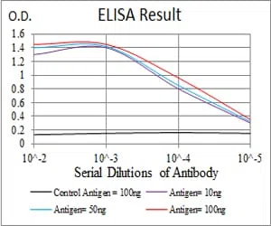 MDM2 Mouse Monoclonal Antibody - Size: 100µl