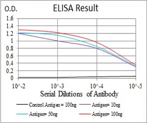 EZH2 Mouse Monoclonal Antibody - Size: 50µl