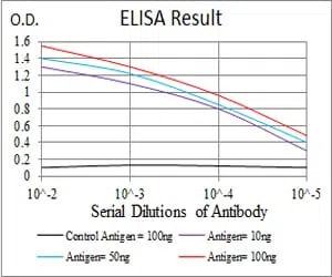ERBB4 Mouse Monoclonal Antibody - Size: 100µl