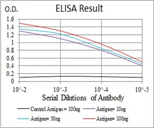 CASP3 Mouse Monoclonal Antibody - Size: 50µl