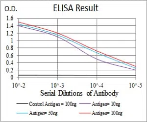 CASP3 Mouse Monoclonal Antibody - Size: 50µl