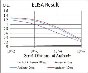 P2RY13 Mouse Monoclonal Antibody - Size: 50µl