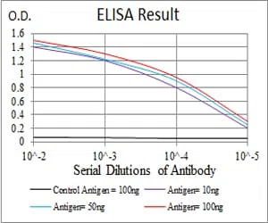 TUBB1 Mouse Monoclonal Antibody - Size: 50µl