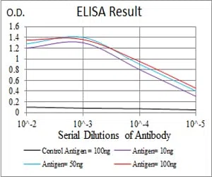 KCND2 Mouse Monoclonal Antibody - Size: 100µl