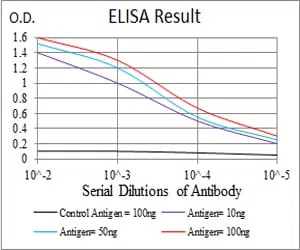 KBTBD8 Mouse Monoclonal Antibody - Size: 100µl